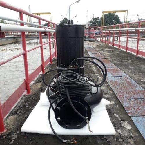 bom-chim-cong -suat-lon