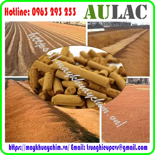 hat-loc-khi-gas-sinh-hoc