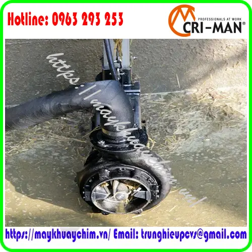 bom-canh-cat-cri-man