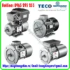 dong-co-dien-motovario-tai-viet-nam