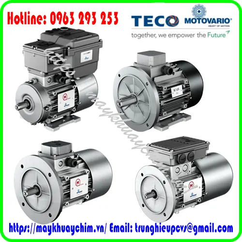 dong-co-dien-motovario-tai-viet-nam
