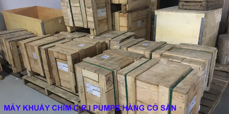 hang-cri-pumps-co-san