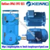 motor-dien-xemc-electric-motors-tai-viet-nam